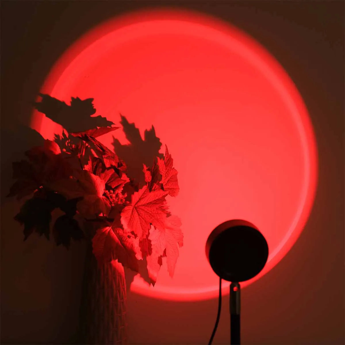 Lighting & Ambience